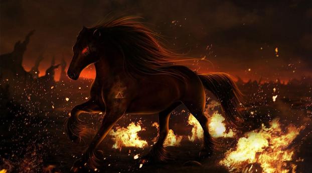 horse, fire, field Wallpaper 2560x1024 Resolution