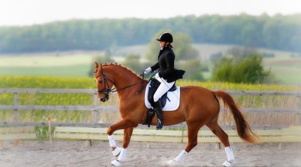 horse, rider, equestrian Wallpaper