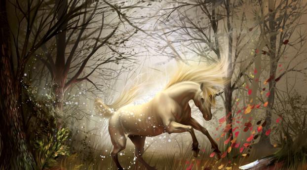 horse, wood, magic Wallpaper 1242x2688 Resolution