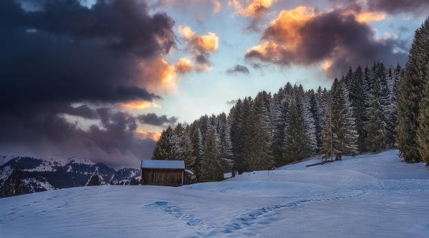 House in Winter Photography Wallpaper 1080x2282 Resolution