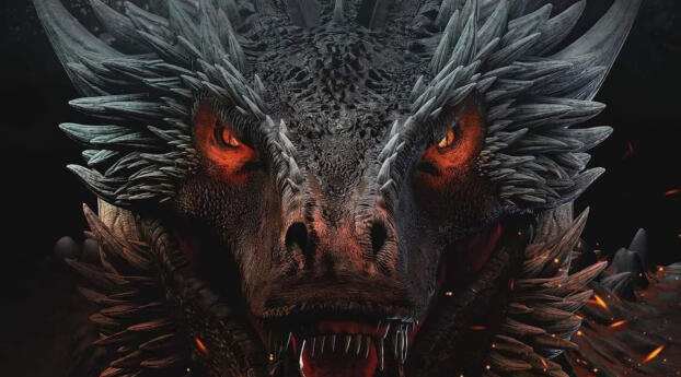 House of the Dragon 2022 Wallpaper 1080x2160 Resolution