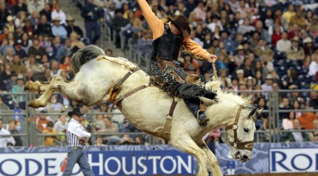 houston, houston livestock show and rodeo, rodeo Wallpaper 480x800 Resolution