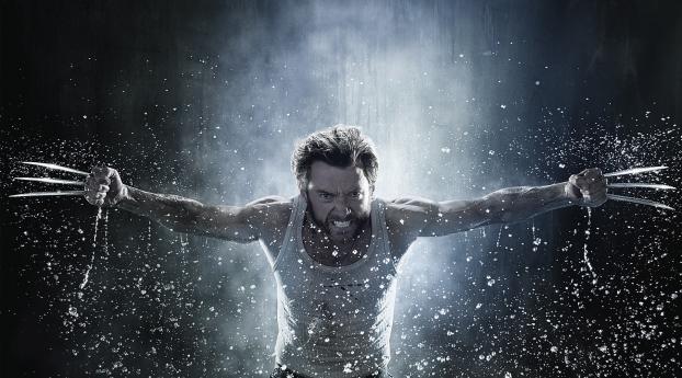 Hugh Jackman Angry Wolverine wallpaper Wallpaper 1080x2244 Resolution