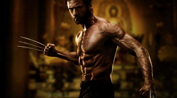 Hugh Jackman Awesome Wolverine wallpaper Wallpaper 800x1280 Resolution