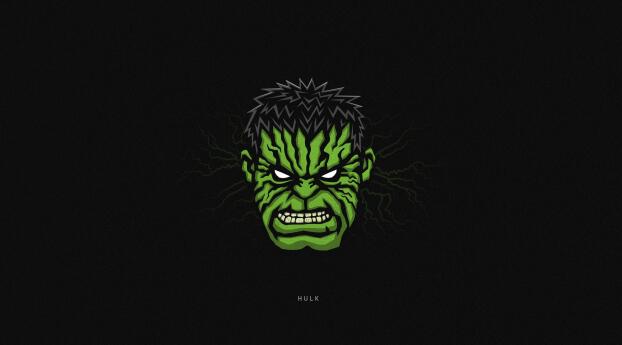 Hulk Minimal Cool Art HD Wallpaper 1080x1920 Resolution