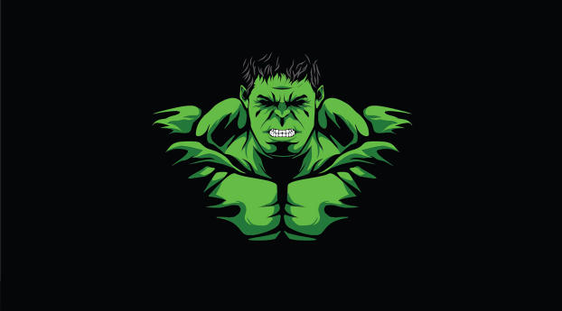 Hulk  Minimal Wallpaper 1080x2246 Resolution