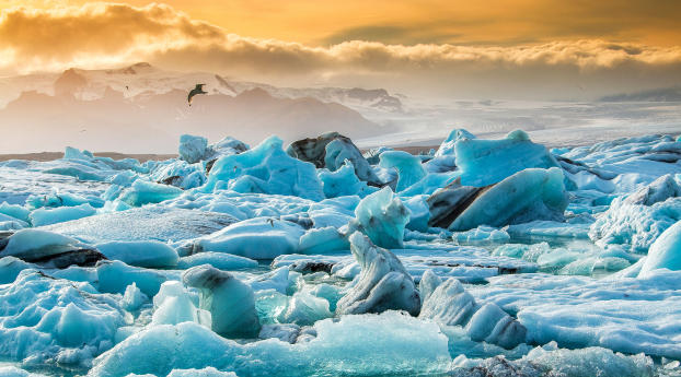 iceland jökulsárlón, glacier lagoon, ice floes Wallpaper 1440x2560 Resolution