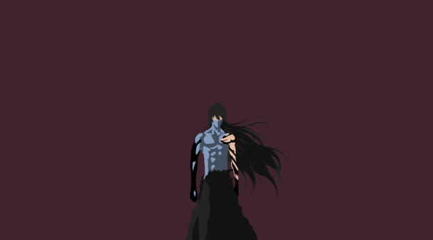 Ichigo Kurosaki HD Bleach Art Wallpaper 1080x2040 Resolution