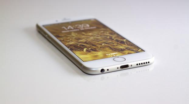 iphone 6, apple inc, smartphone Wallpaper 480x484 Resolution