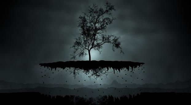 island, tree, shadow Wallpaper 2560x1440 Resolution