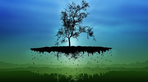 island, tree, silhouettes Wallpaper 2560x1600 Resolution