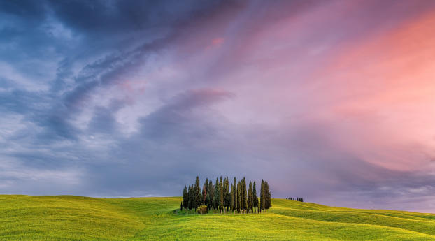 italy, tuscany, field Wallpaper 1280x800 Resolution