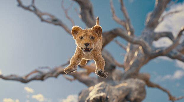 Jump Leap of Mufasa HD The Lion King Wallpaper