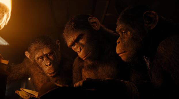 Kingdom of the Planet of the Apes 2024 Wallpaper 1536x215 Resolution