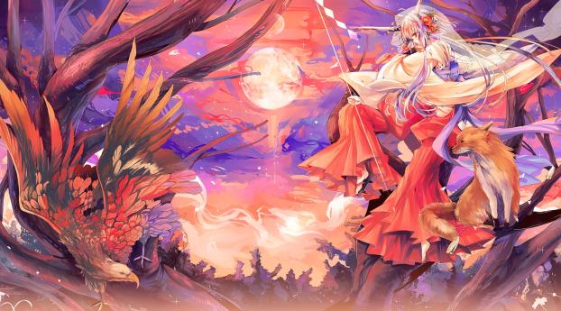 kitsune, hondo kitsune, vulpes vulpes japonica Wallpaper 1440x2960 Resolution