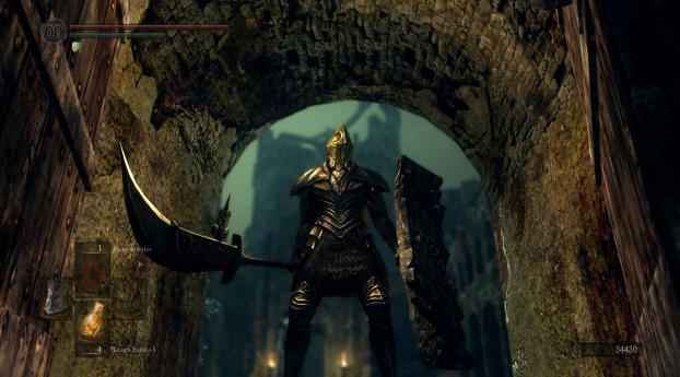 Knight Warrior in Dark Souls Wallpaper 1080x2300 Resolution