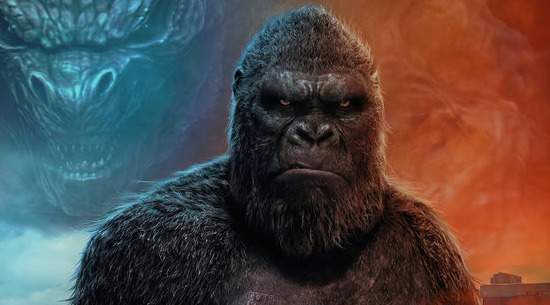 Kong Bows To No One Wallpaper 720x1480 Resolution