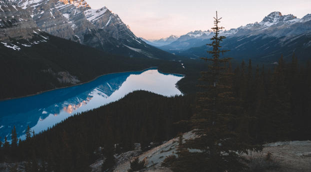 lake, mountains, trees Wallpaper 640x960 Resolution