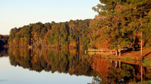 lake, trees, autumn Wallpaper 2560x1600 Resolution