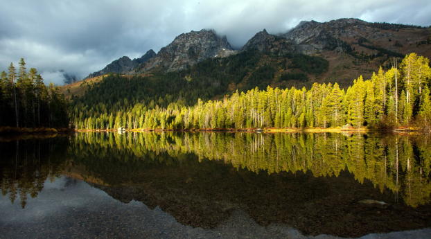 lake, trees, reflection Wallpaper 1366x768 Resolution