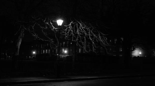 lantern, night, tree Wallpaper
