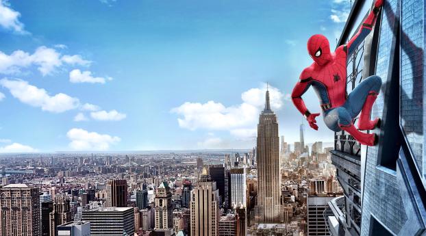  Latest Spiderman Homecoming Spidy Wallpaper 640x9600 Resolution