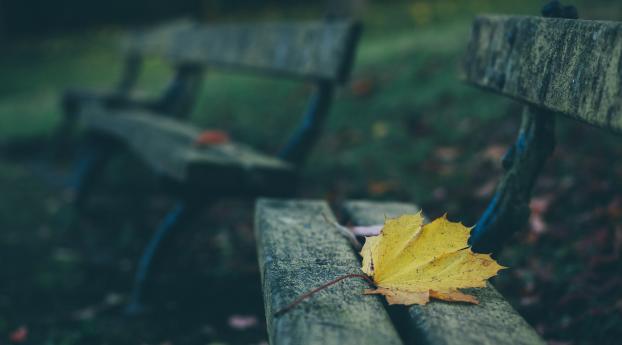 leaves, autumn, bench Wallpaper