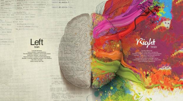 Left & Right Brain HD Cool Wallpaper 2560x1024 Resolution