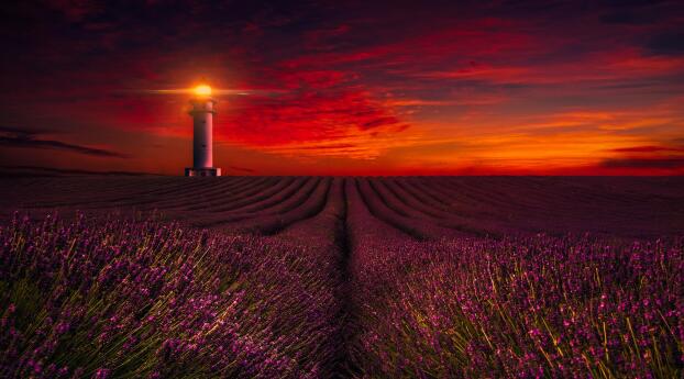 Lighthouse Lavender Night Photography Wallpaper 1920x1080 Resolution