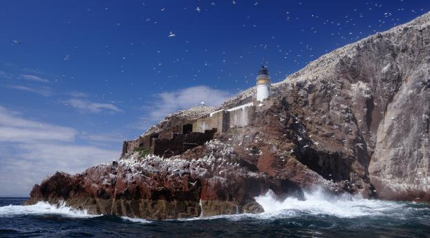 lighthouse, scotland, seagull Wallpaper 720x1280 Resolution