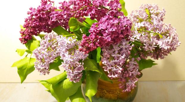 lilac, bouquet, vase Wallpaper 2560x1024 Resolution