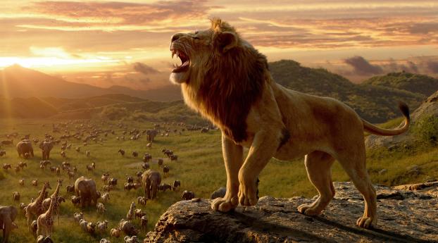 Lion From The Lion King Wallpaper 3840x2400 Resolution