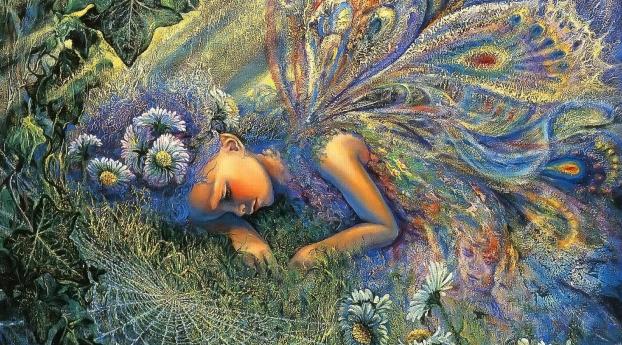 little fairy, wings, fatigue Wallpaper 2560x1440 Resolution