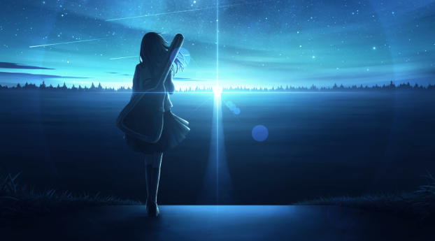 Lonely Anime Girl in Sunset Wallpaper 250x267 Resolution