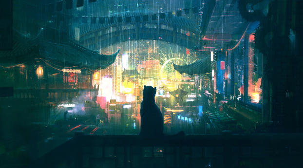 Lonely Cat in Rain 4K Wallpaper 3840x216 Resolution