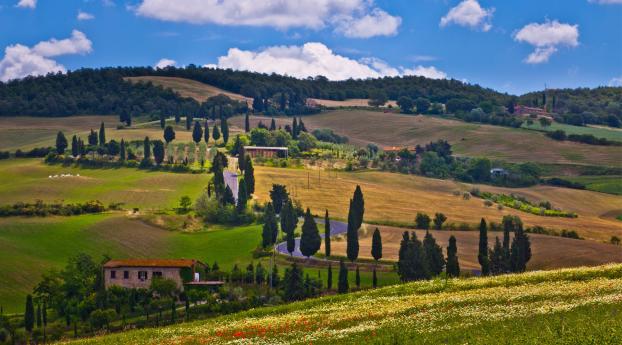lucca, tuscany, italy Wallpaper 480x800 Resolution