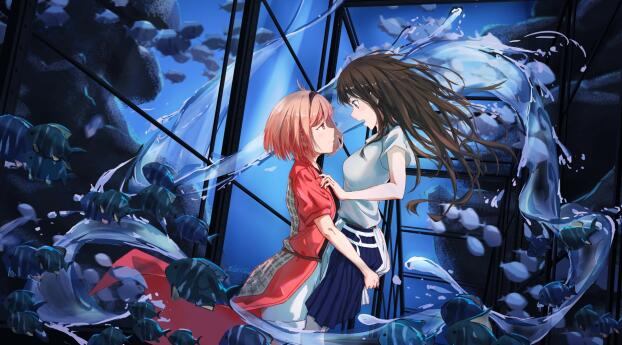 Lycoris Recoil Chisato Nishikigi & Takina Inoue Wallpaper 720x1600 Resolution