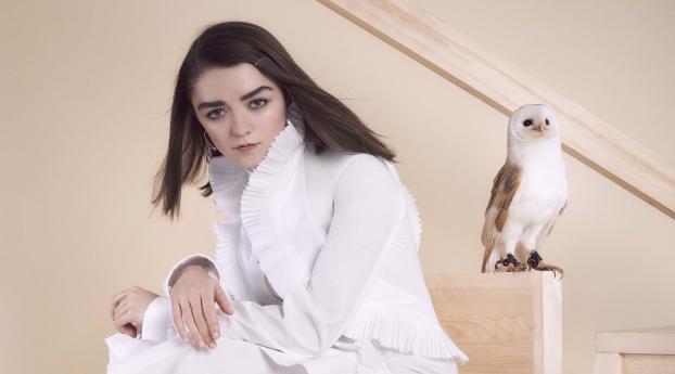 Maisie Williams Photoshoot with Owl Wallpaper 2560x1440 Resolution