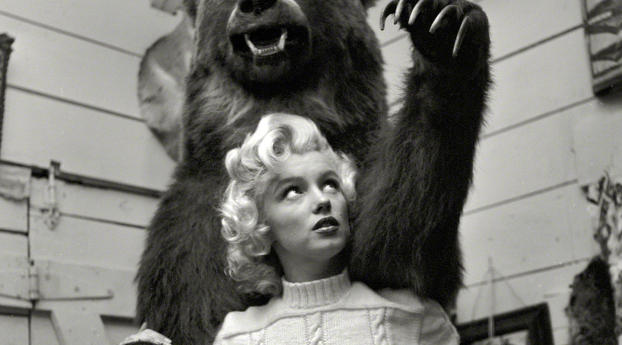 Marilyn Monroe With Bear Wallpaper 5000x5000 Resolution