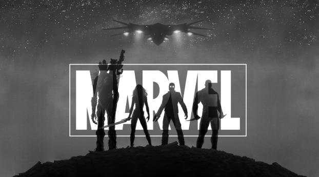 MARVEL Guardians Of The Galaxy Black and White Wallpaper 1440x3120 Resolution