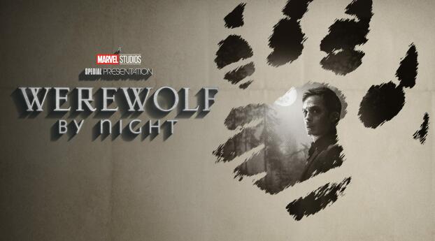 Marvel Werewolf By Night 4k Poster Wallpaper 1152x864 Resolution