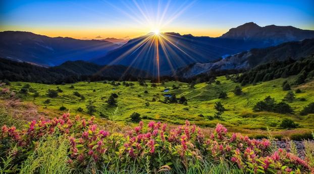 meadow, flowers, mountains Wallpaper 1600x900 Resolution