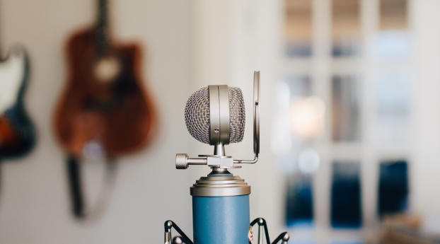 microphone, instrument, pop filter Wallpaper 2048x273 Resolution