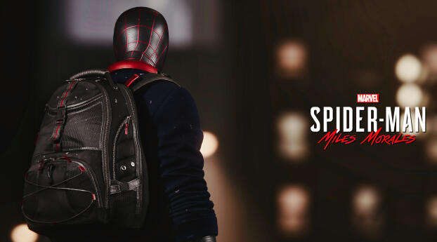 Miles Morales Spider-Man Gaming HD Wallpaper