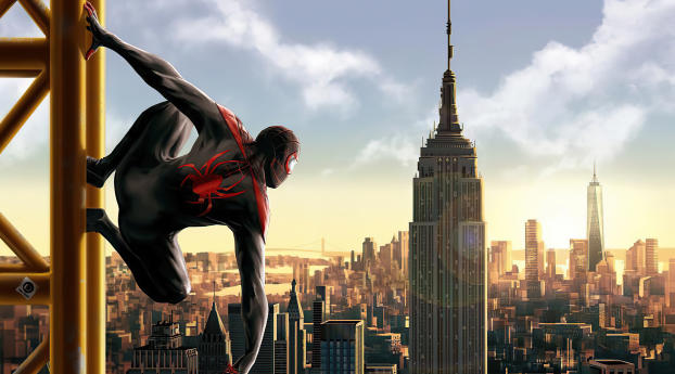 Miles Morales Spider-Man Into The Spider-Verse Wallpaper 1000x624 Resolution