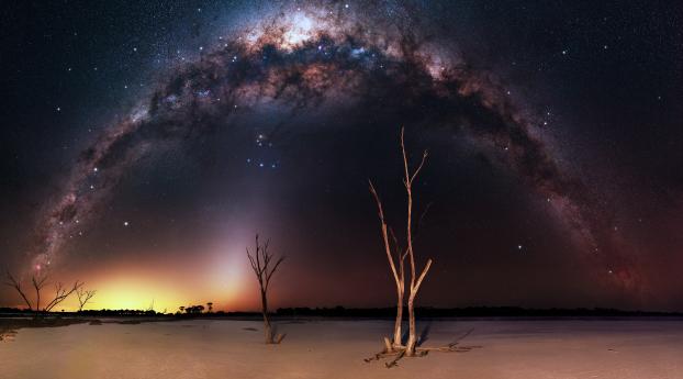 Milky Way Night and Bare Trees Wallpaper 1440x3440 Resolution