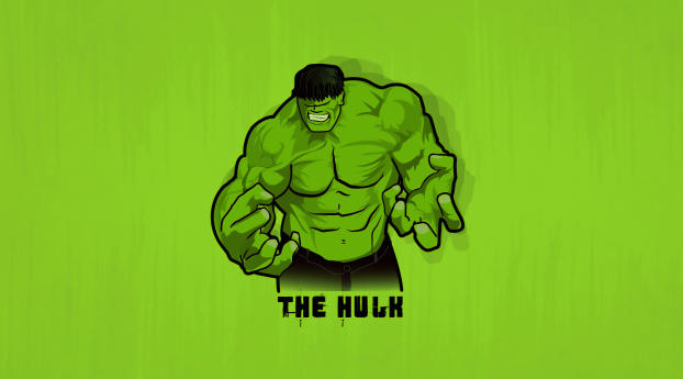 Minimal Hulk Wallpaper 768x1024 Resolution