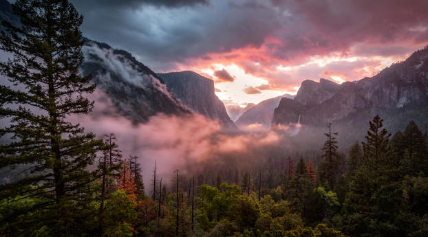 Misty Yosemite Wallpaper 1080x2280 Resolution