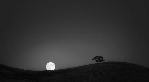 Moon Night HD Landscape Wallpaper