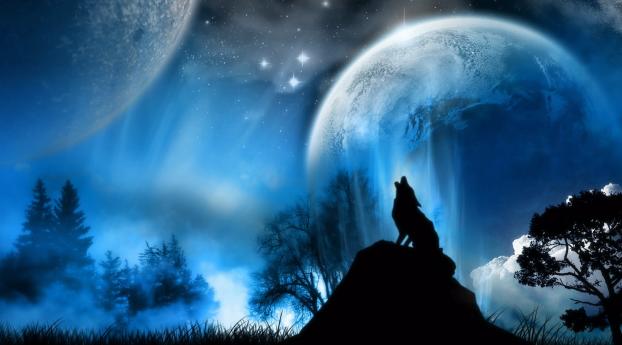 moonlight, wolf, fantasy Wallpaper